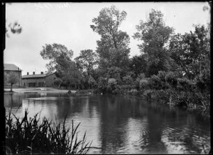 Dorfteich auf Hiddensee