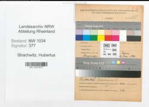 Entnazifizierung Hubertus Von Strachwitz , geb. 10.02.1899 (Major)