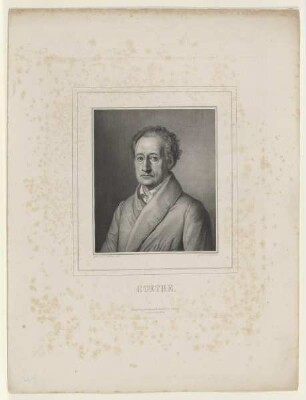 Bildnis des Goethe