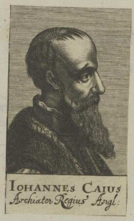 Bildnis des Iohannes Caius