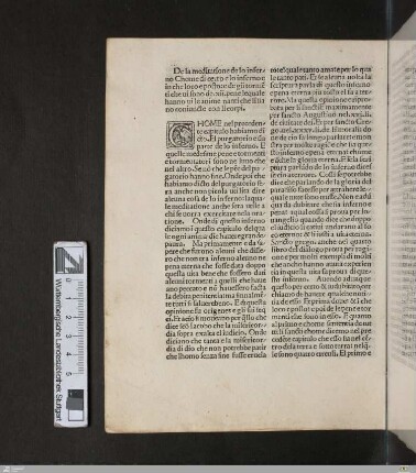 Capitulo XI