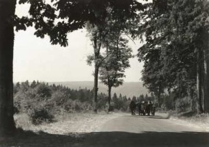 Harz. Blick von der Straße Thale - Treseburg nach Südwesten