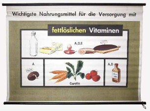 Wichtigste Nahrungsmittel für die Versorgung mit fettlöslichen Vitaminen