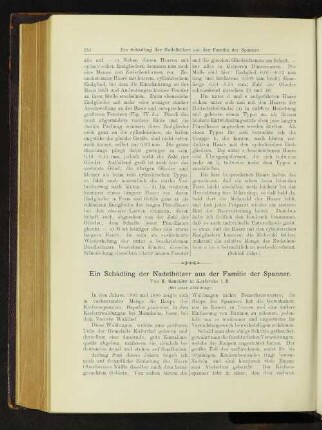 Ein Schädling der Nadelhölzer aus der Familie der Spanner.