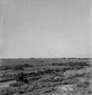 Panorama : Panorama der Grabenebene in Richtung der Virunga-Vulkankette