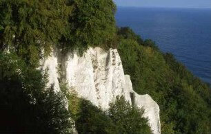 Insel Rügen - Kreidefelsen