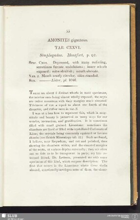 Amonites giganteus. Tab. CXXVI