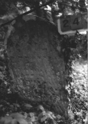 Grabstein 240 (Index: 99799945) Material: Sandstein Zustand: verwittert, eingesunken, teilw. Textverlust Maße HxBxT: 85x56x11 cm Beschreibung: Stele, eingezogener Rundbogenabschluß, Schriftfeld eingetieft: Grabstein 240