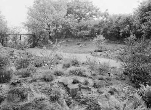 Sörnewitz. Pflanzengarten der TU Dresden. Trockenpflanzen des Elbtals : Sörnewitz, Gebiet der Bosel, Boselgarten. Pflanzengarten der TU Dresden mit Präsentation der Trockenpflanzen des Elbtals