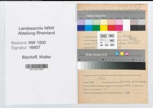 Entnazifizierung Walter Bischoff, geb. 01.06.1908 (Kraftfahrer)