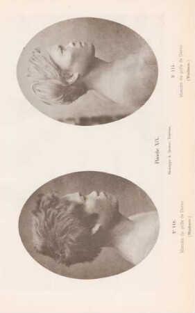 Planche XIX.