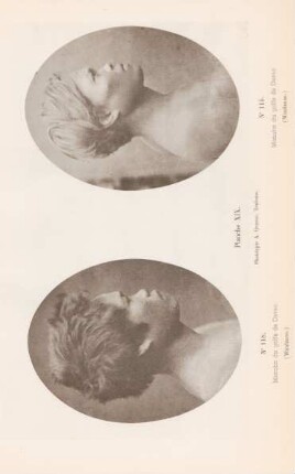 Planche XIX.