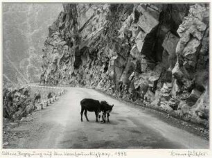 Seltene Begegnung auf dem Karakoram Highway