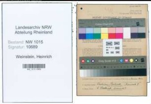 Entnazifizierung Heinrich Weinstein , geb. 28.01.1897 (Maler)