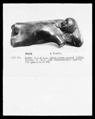 Petit torso couché