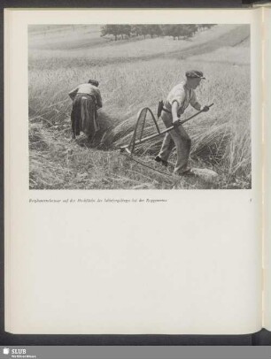 Bergbauernehepaar auf der Hochfläche des Schiefergebirges bei der Roggenernte