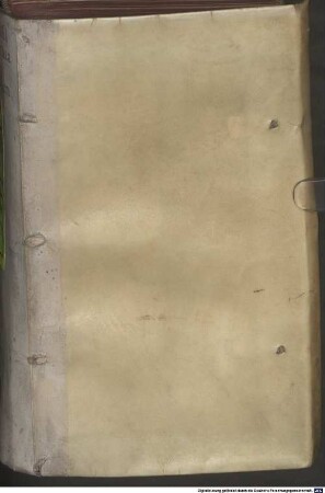Christomachia Calvinistica, et sacramentariorum omnium vere sathanica, qua invidus diabolus nunc Antichristo suo in dies adventurienti certum praeparat iter
