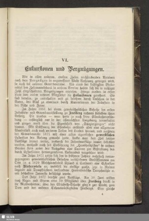 VI. Exkursionen und Vergnügungen