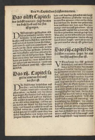 Das xiii. capitel dis sechsten tractats/ saget da aim der fuß auß der stat ist.