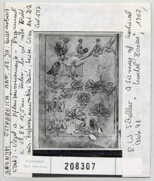 Wien, Nationalbibliothek: Cod. 507. Musterbuch, Vogel- und Pflanzenelemente