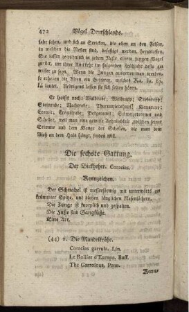 Die sechste Gattung. Der Birkheher.