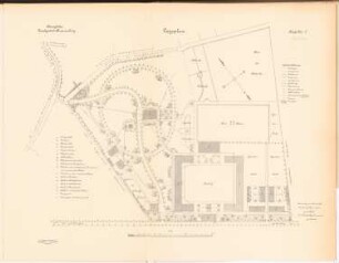 Landgestüt, Braunsberg: Lageplan 1:750