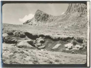 Quellflur-Vegetation in der Hochregion des Cerro Azanaque