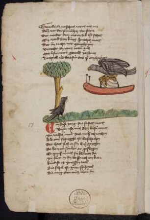 Krähe, Schnecke, Adler; (Vom Adler und der Schnecke, Kapitel XVII nach Pfeiffer)