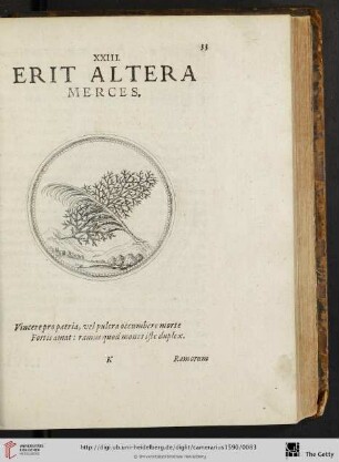 XXIII. Erit altera merces
