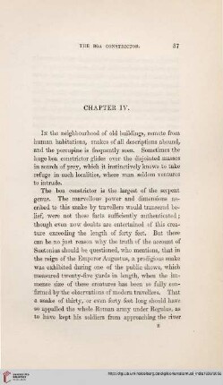Chapter IV: The Boa Constrictor – Porcupines Found in Old Buildings