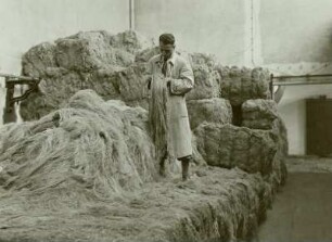 Flachsröste, Arbeitsabläufe, Neusalza-Spremberg, 1938