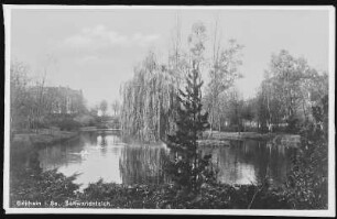 Geithain. Schwanenteich