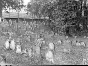 Gelnhausen. Jüdischer Friedhof (um 1350/1400 angelegt). Blick über Grabmale