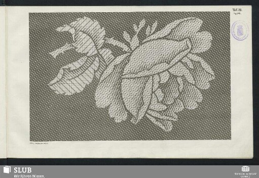 Taf. 29. Fig. 342