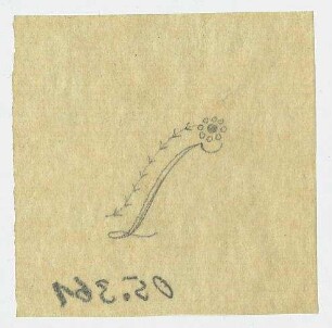 Kalligrafiestudie : Buchstabe L von einer Blume umfangen