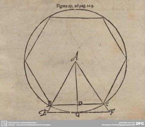 Figura 151. ad pag. 229.