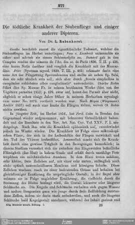 Die tödtliche Krankheit der Stubenfliege und einiger anderer Dipteren