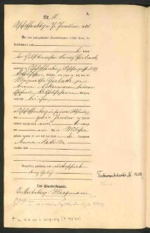 Standesamtsbuch der Stadt Aschaffenburg: Geburten 365/1900 - 184/1901