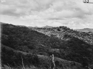 Landschaft : Blick von einer Anhöhe in das bewaldete Tal und auf die bergige Umgebung