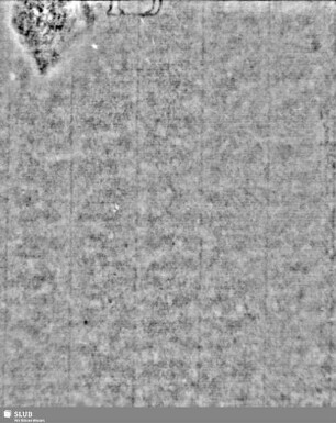 Lilie / Tj = S.19/20+21/22