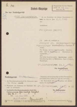 Polijenko, Dmitri