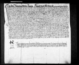 Notariatsinstrument des Notars Philipp Braun von Heilbronn in Sachen Graf Ludwig zu Löwenstein gegen Graf Albrecht zu Löwenstein wegen eines Überbaus auf der Hofstatt des Fritz Henne zu Löwenstein.