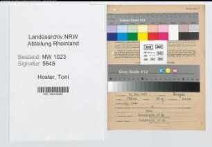 Entnazifizierung Toni Hoster , geb. 13.05.1907 (Metzgermeister)