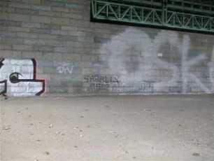 SAARLAND ASOZiAL! unleserlich