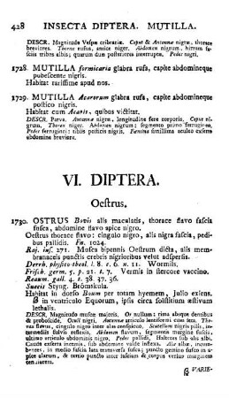 VI. Diptera