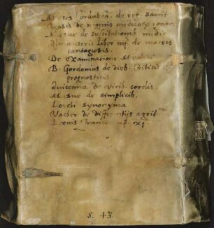Abhandlung über Asthma [u.a.] - BSB Cod.hebr. 280