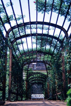 Dornburger Schlösser: Rosenpergola im Schloßpark