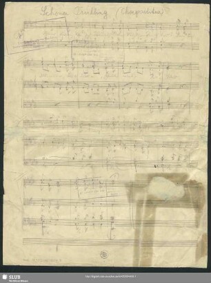 Schöner Frühling - Mus.11302-H-514,7 : Coro fanciulli - E; RMWV 398