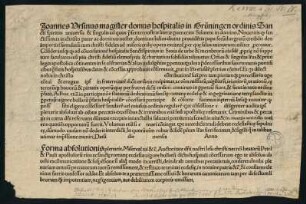 Joannes Ursinus magister domus hospitalis in Grüningen...
