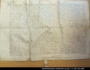 Gräfin Agnes von Hoya und Rietberg leiht von Christoph von Fulle, Drost in Rietberg, 800 Joachimstaler Ausstellungsort: Nienburg Anhängendes Siegel beschädigt erhalten; Unterschrift
